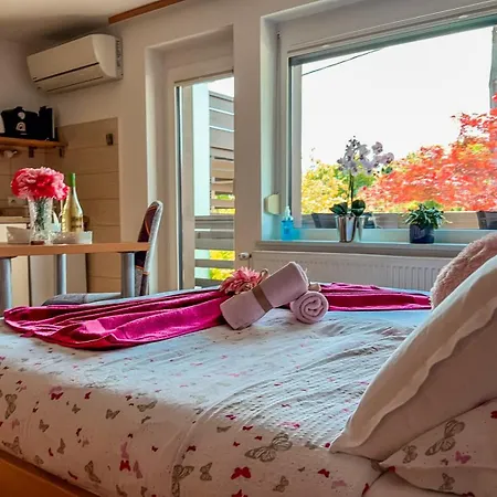 Vista Apartment