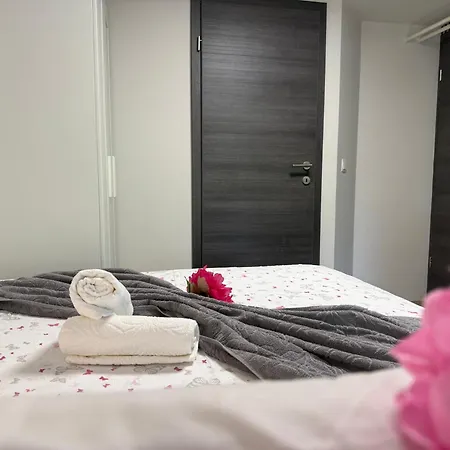 公寓 Vista 布莱德